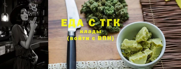 ECSTASY Горняк