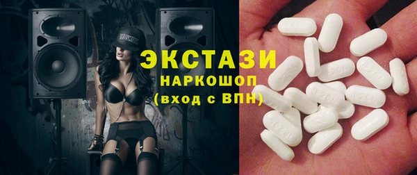 ECSTASY Горняк