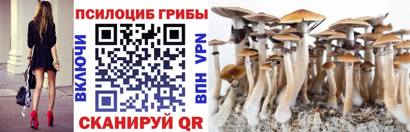 Галлюциногенные грибы прущие грибы  Рыбное 